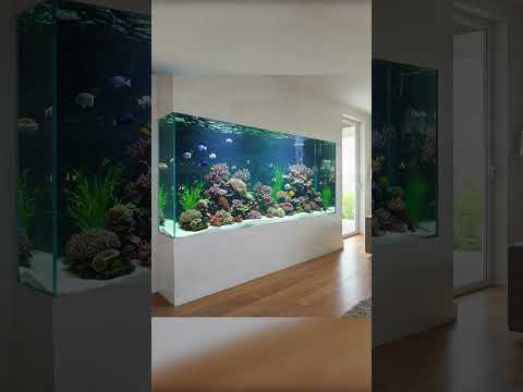 10 Beautiful Rimless Fish Tanks That Transform Your Space - Ultimate ...