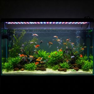 200 gallon fish tank showcasing angelfish and vibrant aquatic plants under LED lighting.