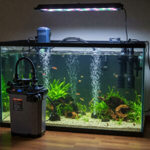 Expert aquascaping design in a 120 gallon fish tank with rocks, driftwood, and lush greenery.