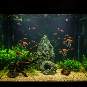 Luxury 120 gallon fish tank setup displayed in a stylish living room environment.
