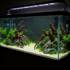 A 120 gallon fish tank filled with colorful tropical fish and decorative coral structures. 120 gallon fish tank