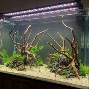 Night view of a 120 gallon fish tank illuminated with blue LED lighting for a dramatic effect.