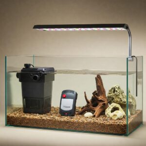  Key equipment needed for a healthy 10 gallon fish tank, including a filter, submersible heater, and LED lighting.