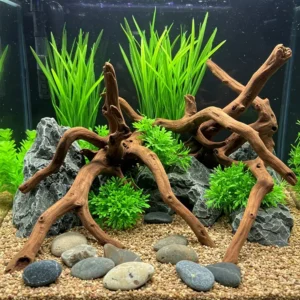 Vibrant 25 gallon fish tank showcasing a variety of colorful tropical fish swimming among live plants.