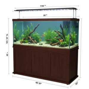 Illustration of a 40-gallon fish tank on a stand, suggesting typical setup dimensions.