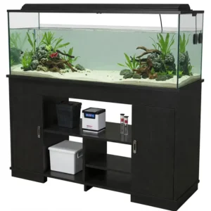  Essential components for setting up a healthy fish tank, including filter, heater, and lighting.