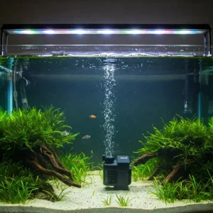 Crystal clear aquarium water maintained by an efficient fish tank water pump