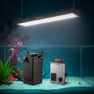  Essential components for setting up a healthy fish tank, including filter, heater, and lighting.