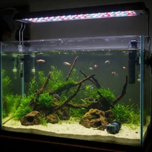 Quiet and silent fish tank water pump ensuring a peaceful environment for both fish and owners.