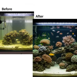 An aquarium hobbyist admiring a well-established rocky fish tank, showcasing the rewarding experience of creating a natural aquatic habitat.