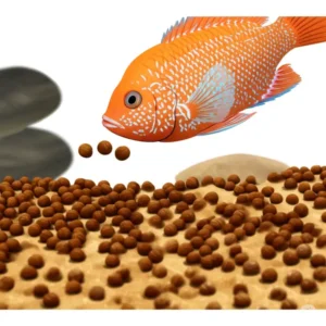 An illustration of a healthy cichlid fish eagerly consuming sinking pellets, emphasizing the natural feeding behavior and the appropriate size of the cichlid fish food