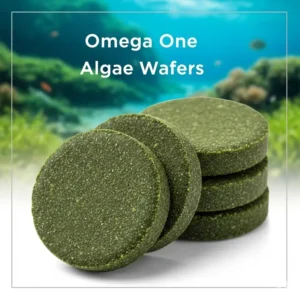 Image of Omega One Algae Wafers, a nutritious staple for herbivorous fish and invertebrates in an aquatic environment