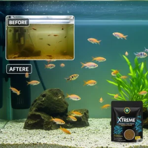 Benefit of Xtreme fish food: reduced waste and clearer aquarium water