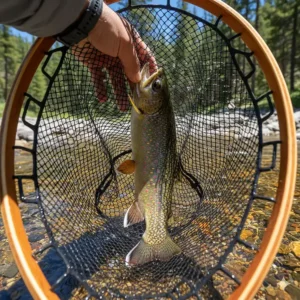 Illustrated first-person view of an angler securing a recently caught brook trout in their fly fishing net.