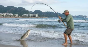 An angler using a 12 foot surf casting rod to reel in a striped bass from surf waves.