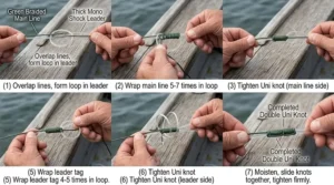 Illustration demonstrating a double Uni knot joining main line to monofilament shock leader material.